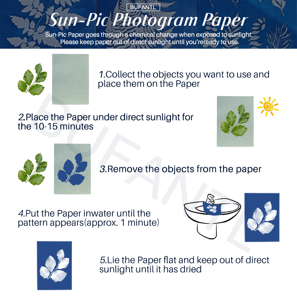 Papel Cianótipo 12 Folhas Paco - Photography Lighting Beginners avaliação e preço