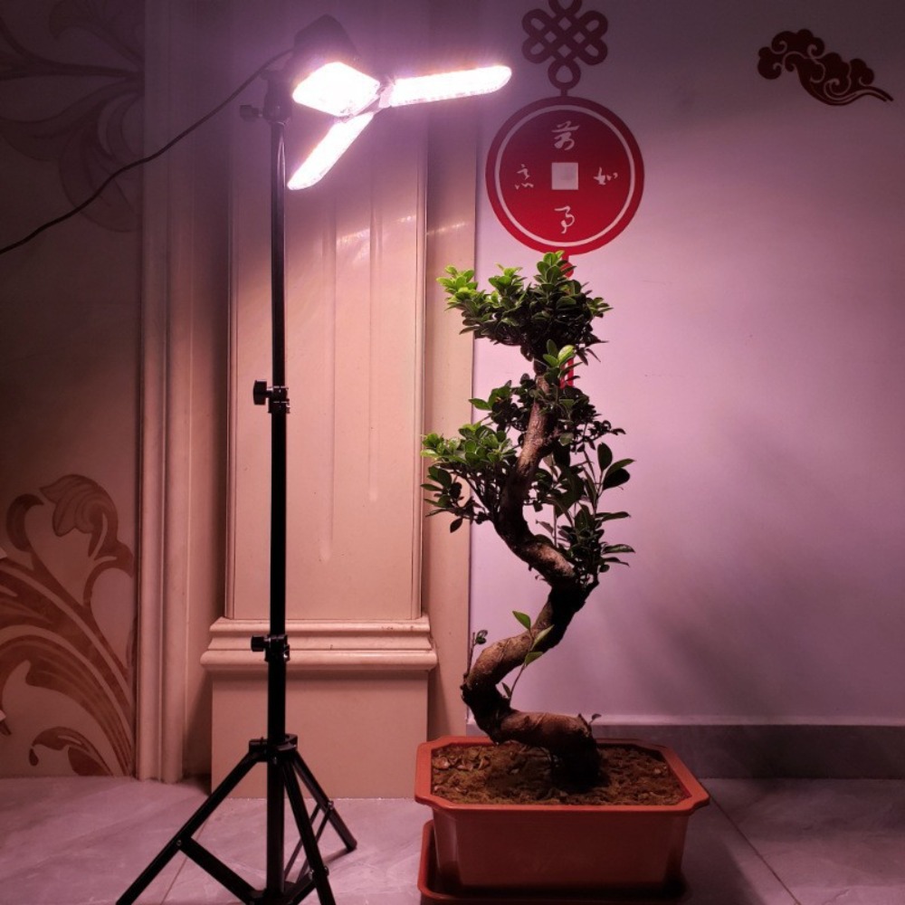 Suporte de lâmpada 2m, soquete - Lighting In Photography Studio avaliação e preço